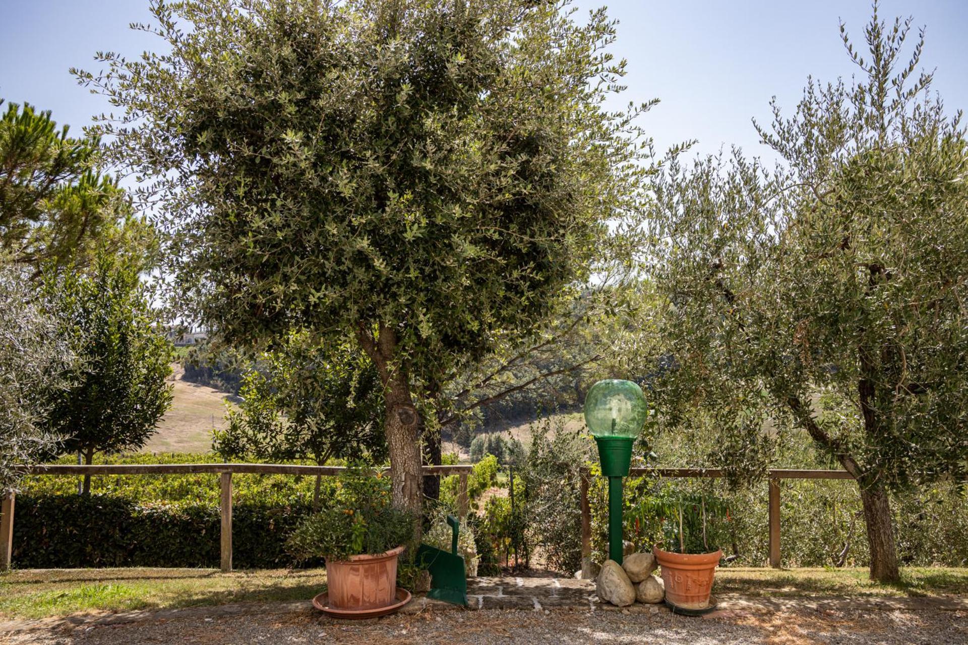Terricciola Sole Verde Green House מראה חיצוני תמונה