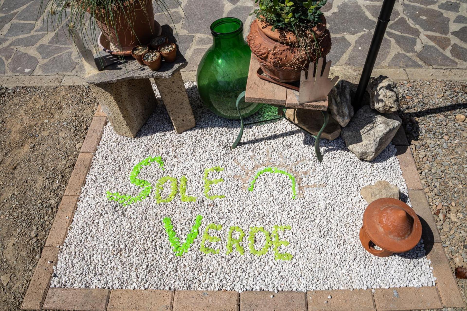 Terricciola Sole Verde Green House מראה חיצוני תמונה